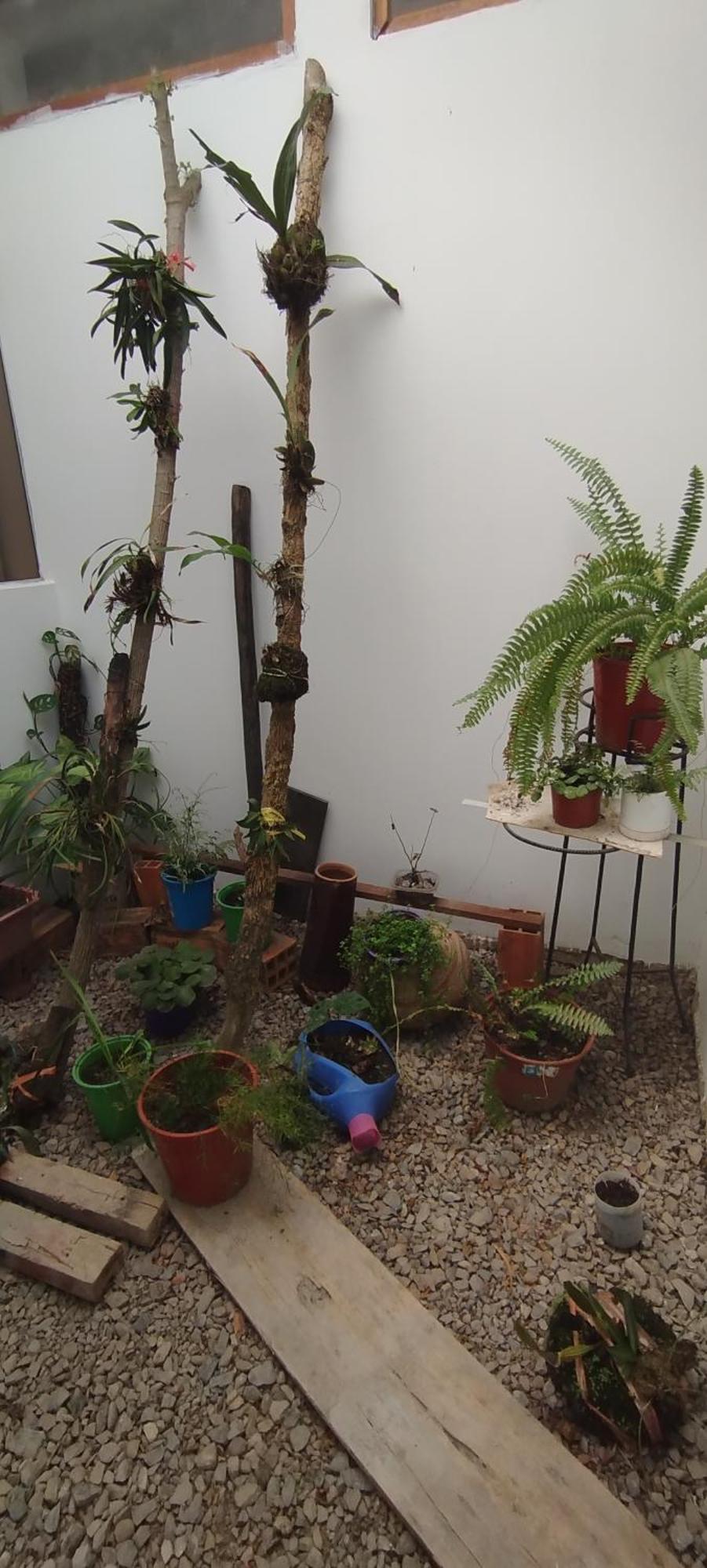 Bachig Hospedaje Moyobamba Exteriör bild